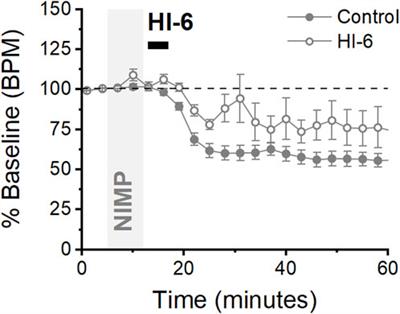 An anesthetized rat assay for evaluating the effects of organophosphate-based compounds and countermeasures on intracranial EEG and respiratory rate